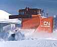 CN55355 Plow